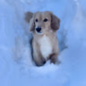 Meet your Posher, Jillian